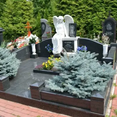 Комплекс такой-то