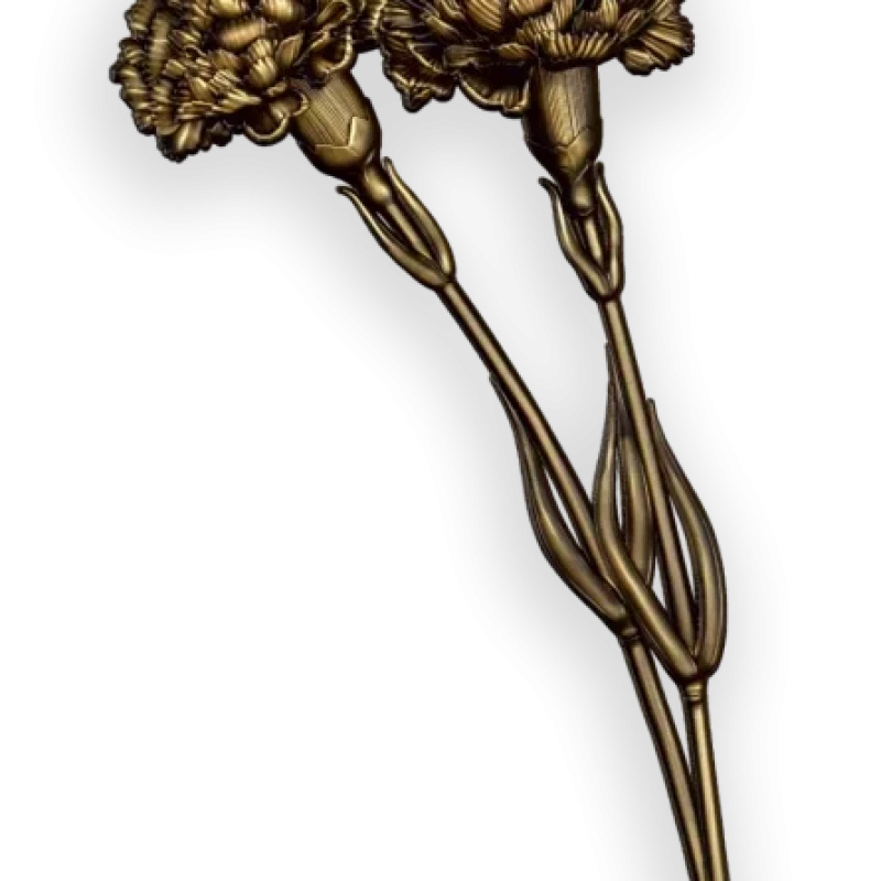 Розы и ветки