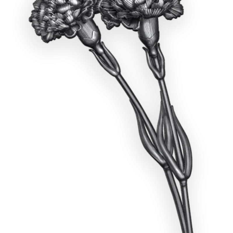 Розы и ветки