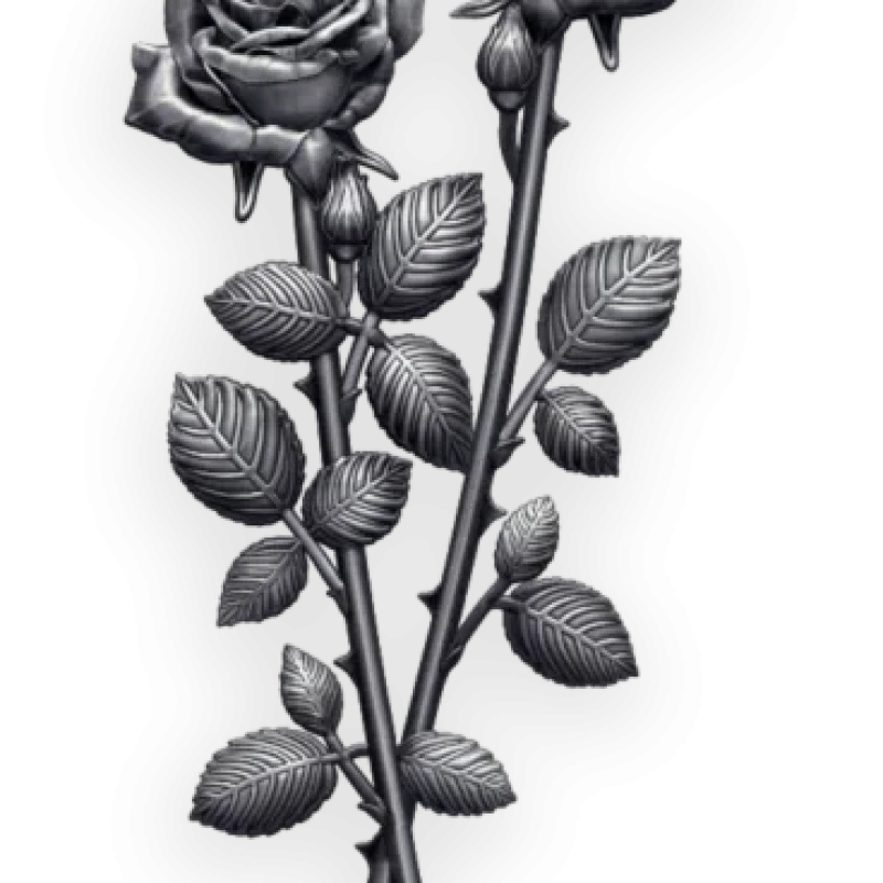 Розы и ветки