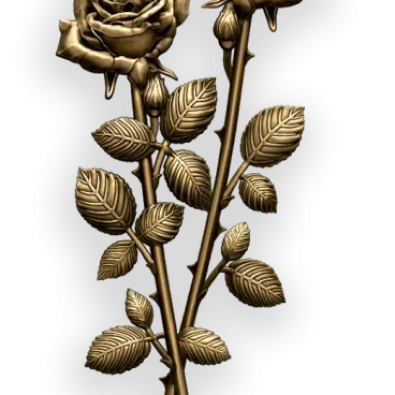 Розы и ветки